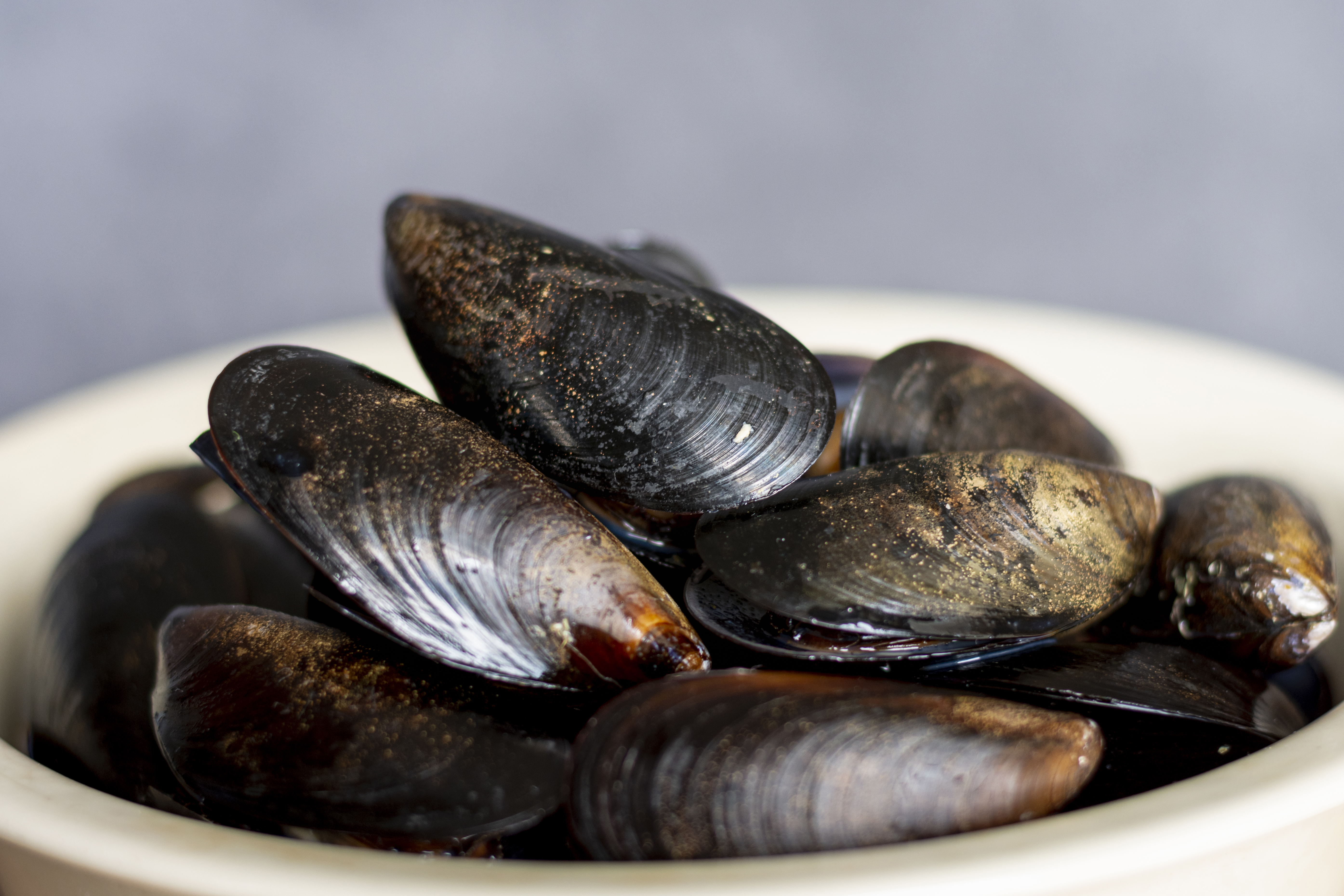 비트코인 네트워크의 미래 (콜로세움, 인터넷망, 디지털 금)