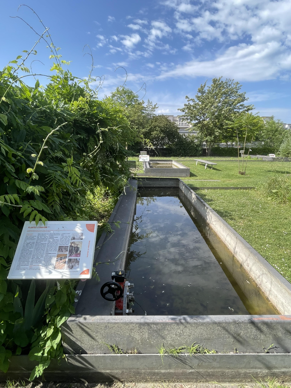 보르도 식물원 - 3. Pelouse (잔디밭)4