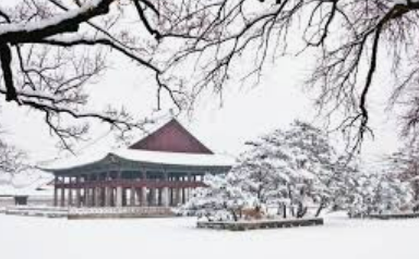 궁&middot;능 관람 변경