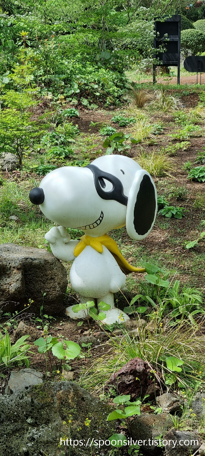 제주스누피가든