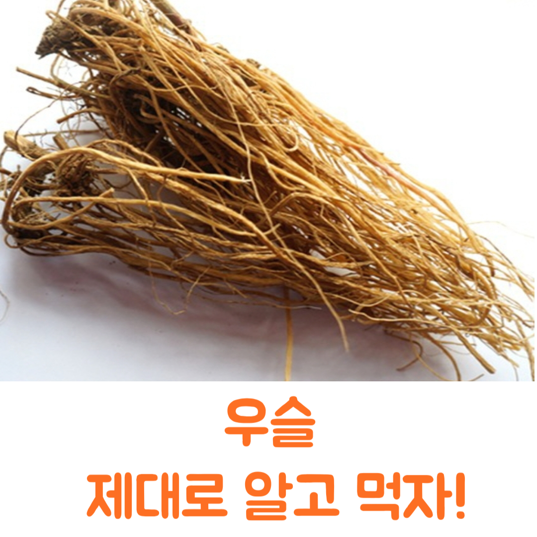 우슬뿌리 끓이는 법