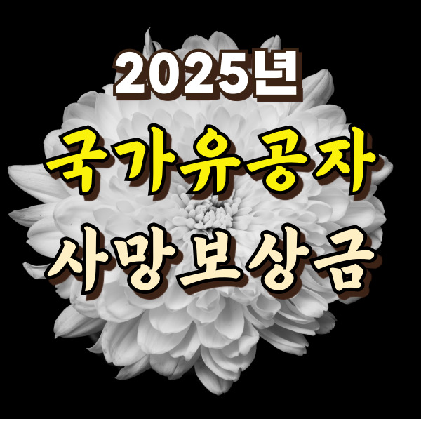 국화꽃 사진이에요.