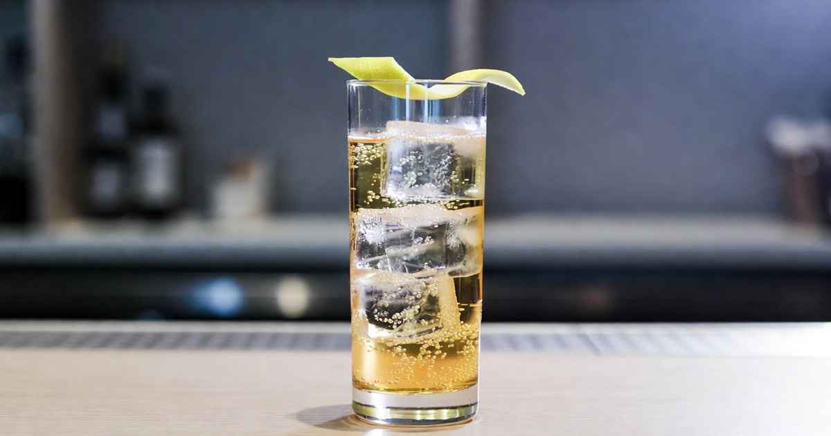 위스키 하이볼황금 레시피 & 스토리 및 완벽한 안주 추천