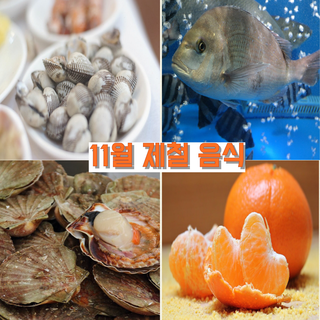 11월 제철 음식