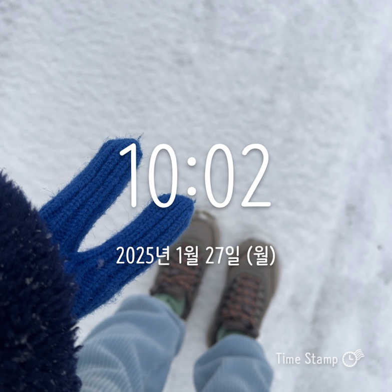 설연휴-눈보라-대설-임장-스타트