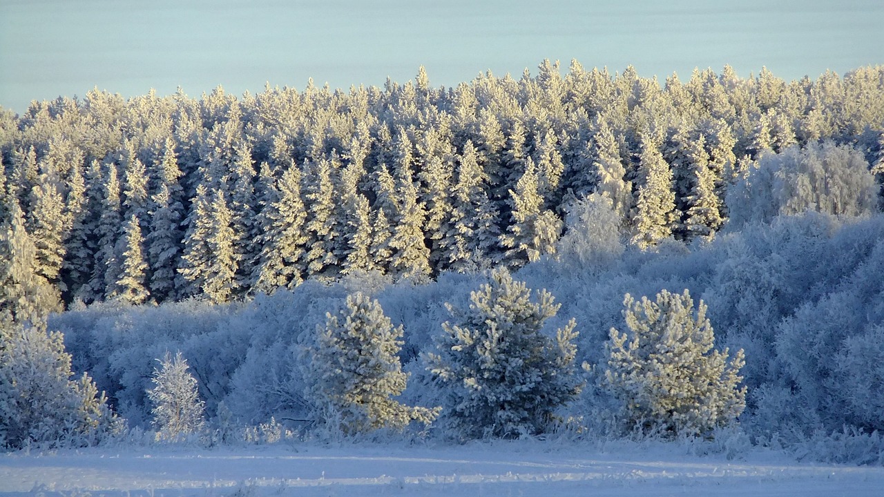 비염에 좋은 영양제