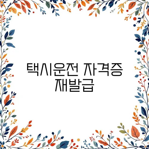 택시운전 자격증 재발급