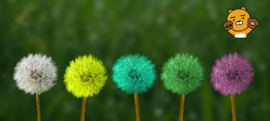 복지로 홈페이지