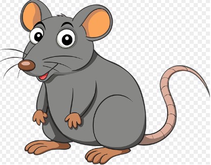 2026년 병오년 쥐띠 신년운세 무료보기