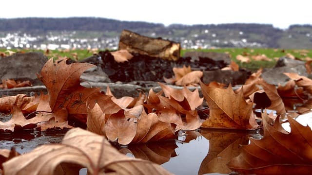 형사사건에서 피해자의 일방적 합의 파기 시 피고인의 대응 방법