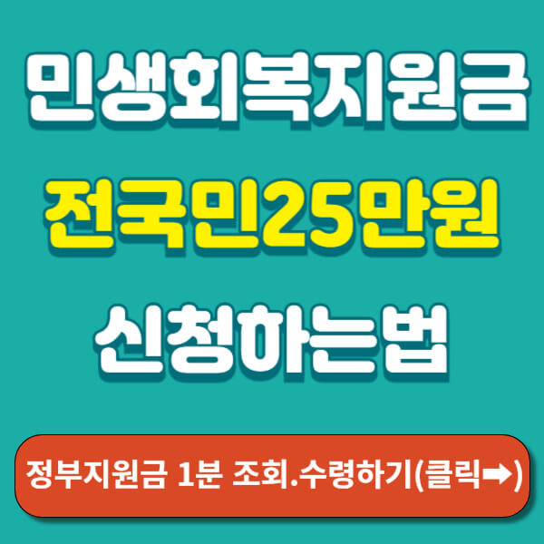 민생지원금 25만원 썸네일