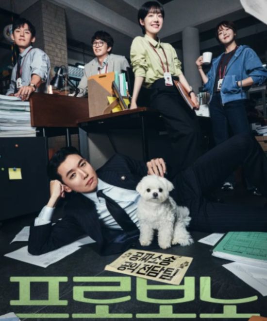 pro-bono-drama-character-relationship-chart-and-plot-summary