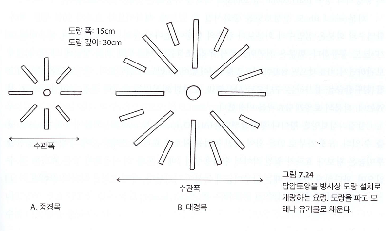 방사상 도랑
