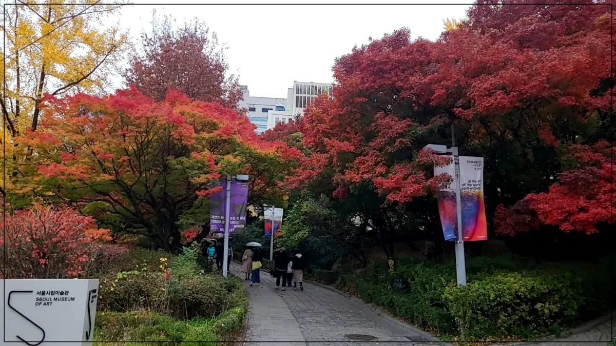 빨간 단풍 나무 숲 사이를 걸어가는 사람 4명의 뒷모습. 입구의 양쪽 가로등 하늘과 서울 시립 미술관 간판