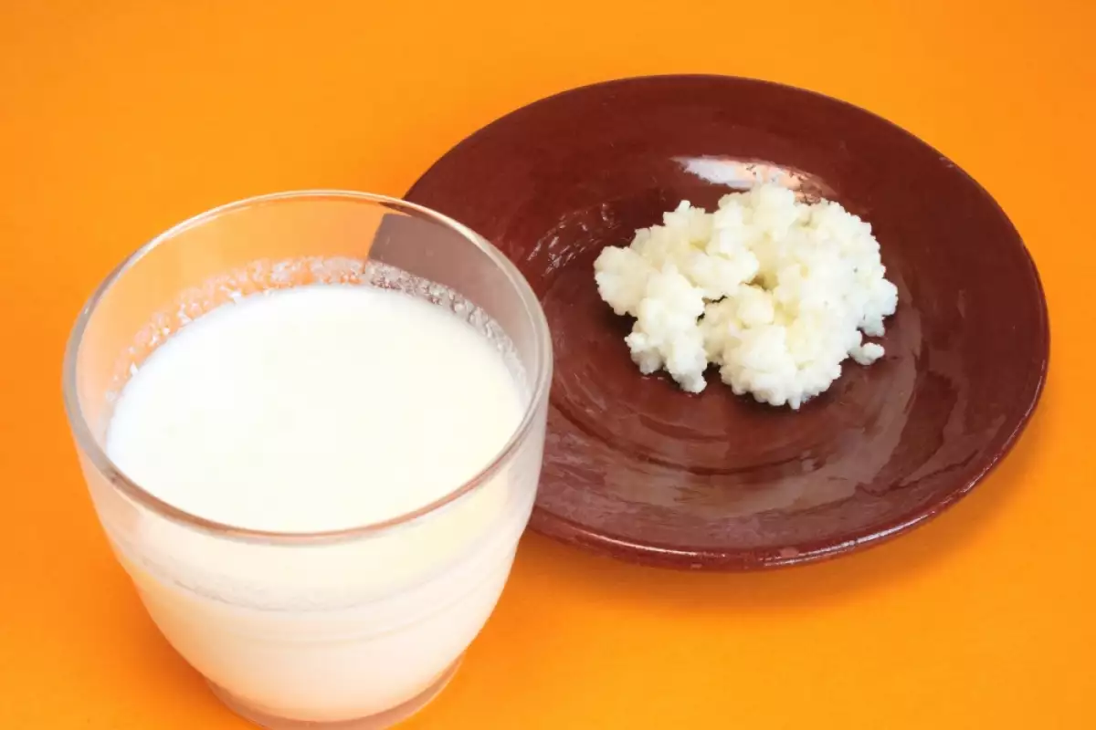 발효 식품(케피르와 김치 등)을 추가하세요