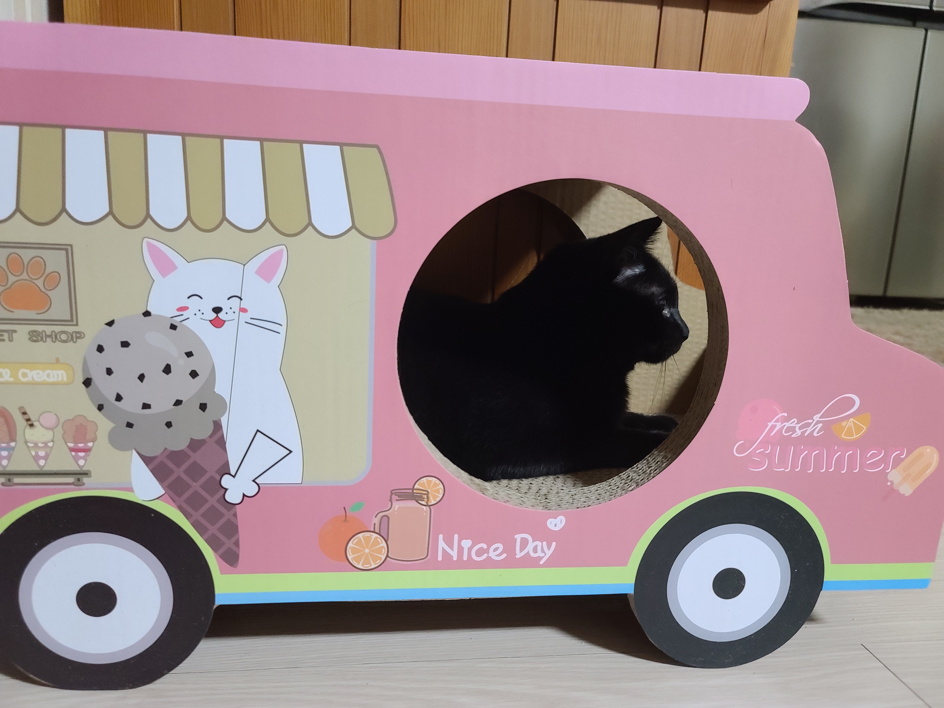 고양이들 스크래쳐를 교체했다.(자동차스크래쳐,침대형스크래쳐)