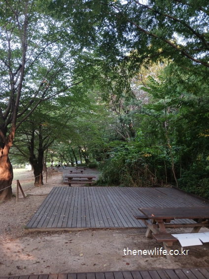 나무 데크와 벤치가 마련된 어린이대공원의 숲속 휴식 공간, 서울 맨발 걷기 좋은 곳