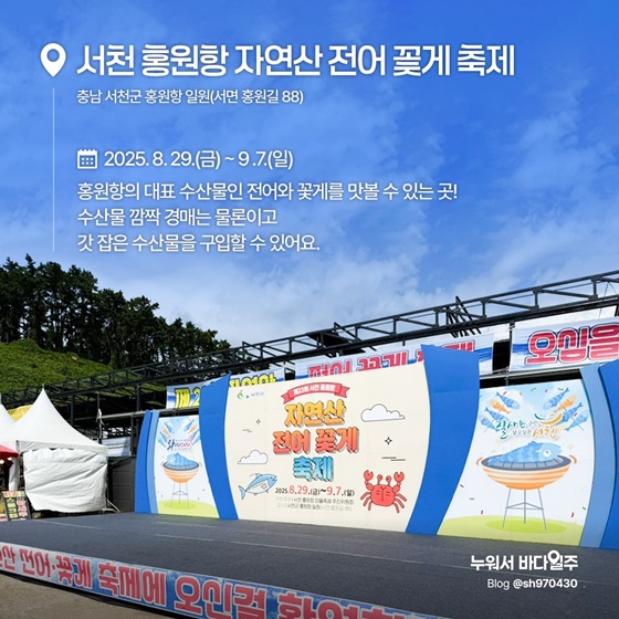 가을축제 대하 전어 꽃게 은갈치 홍성 남당항 서천 홍원항 광양 제주 서귀포 가을미식