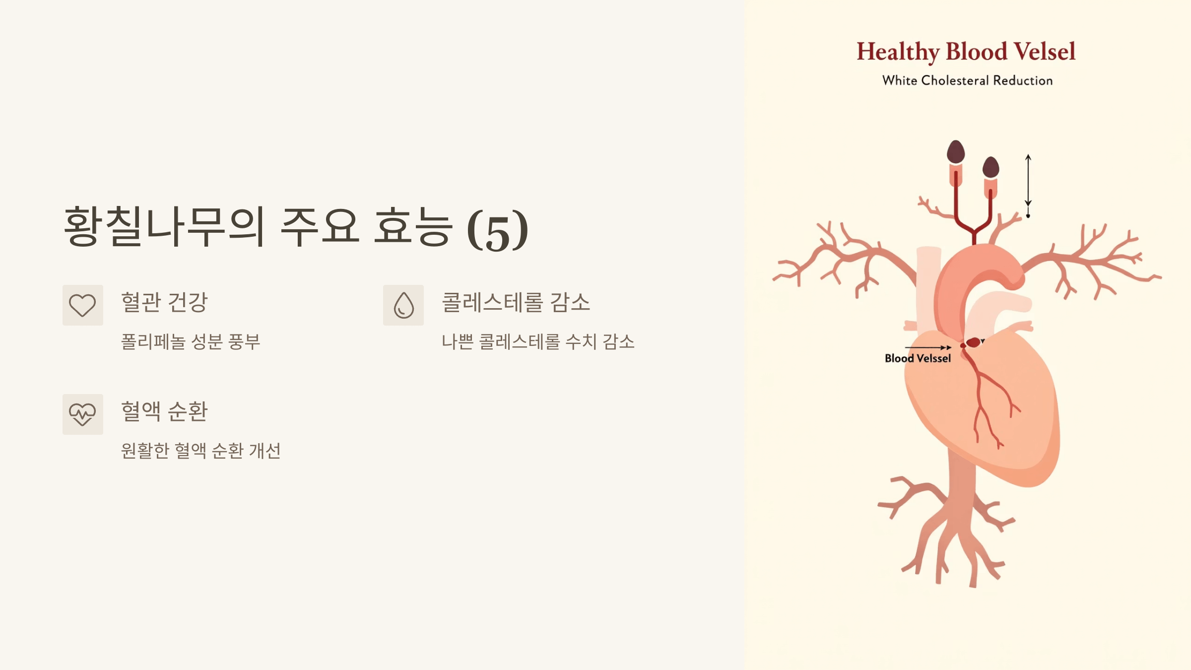 황칠나무 사진입니다.