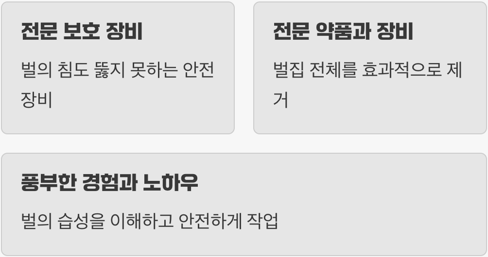 전문가가 필요한 이유