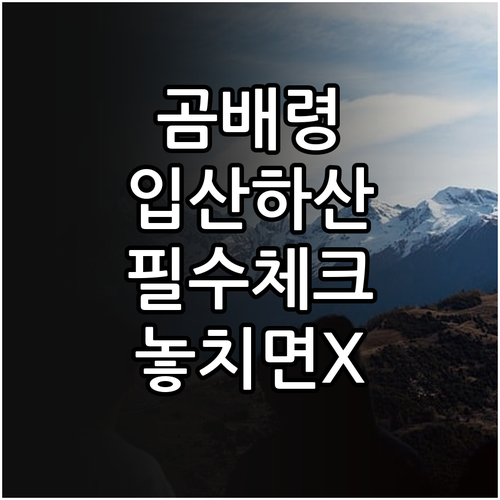 인제 점봉산 곰배령 입산 시간 및 하..