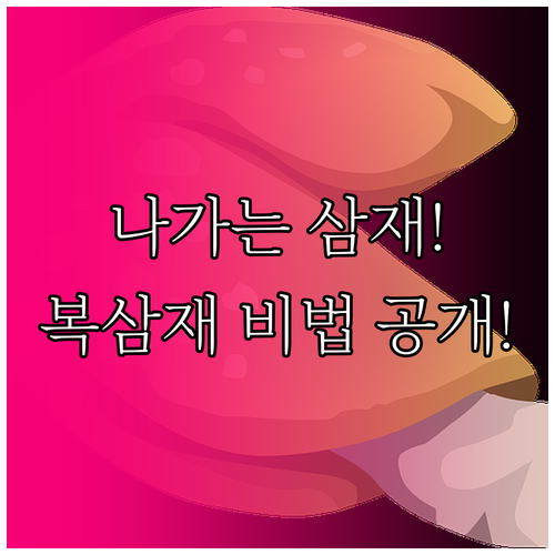 나가는 삼재 2026년 띠별 운세와 ..