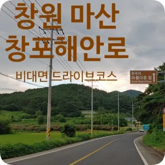 마산 해안도로 5월의 꽃 다정큼나무 산딸나무 해당화_16