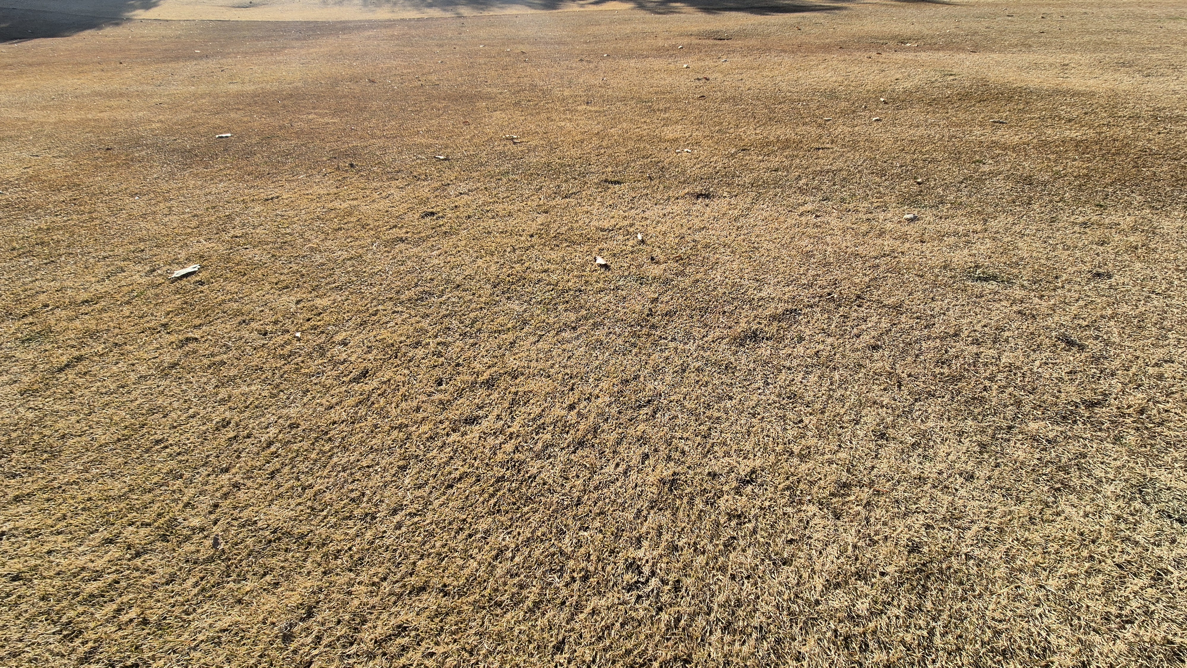 88cc 서코스 라운드 코스관리상태