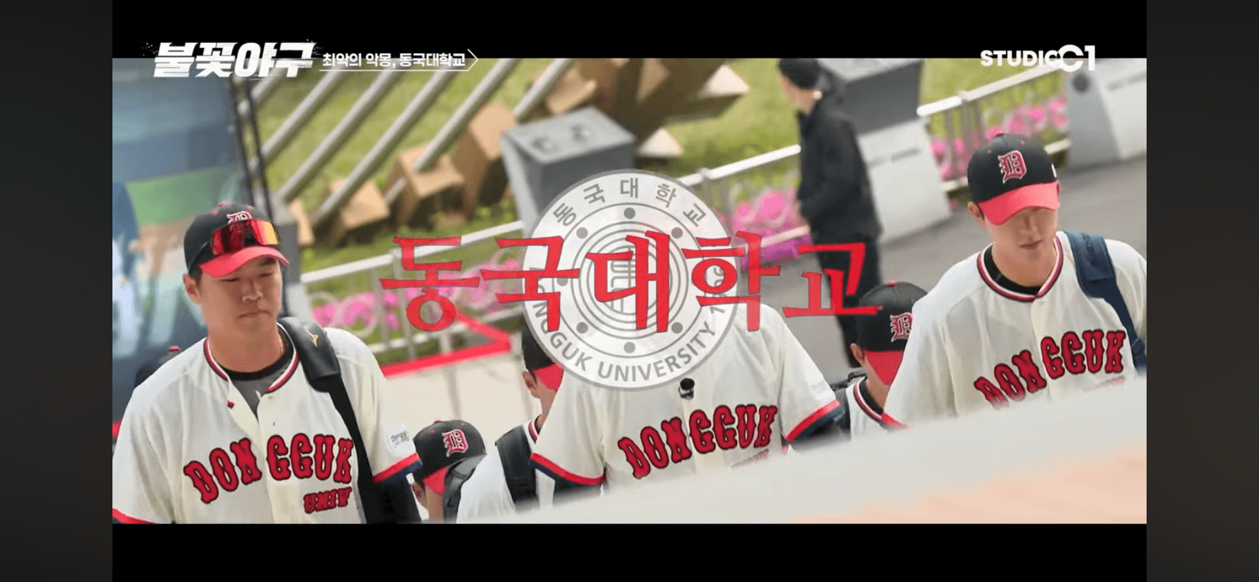 동국대학교 불꽃야구 6회 직관 경기