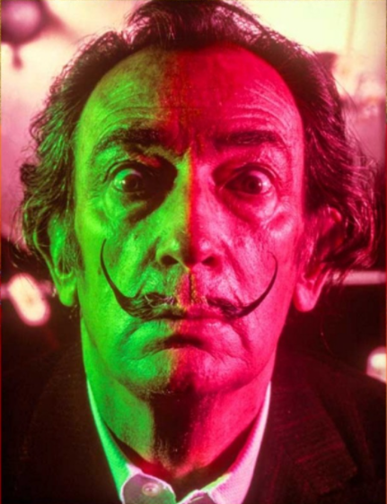 살바도르 달리 인물 사진 