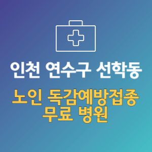 인천 연수구 선학동 노인 독감예방접종 무료 병원 (인플루엔자 무료 접종 대상 날짜)