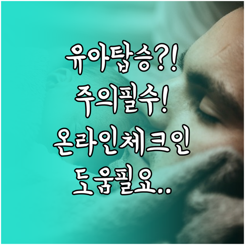 에어재팬 온라인 체크인, 유아 동반이..