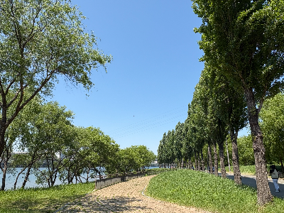 한강 반포대교 부근 산책로