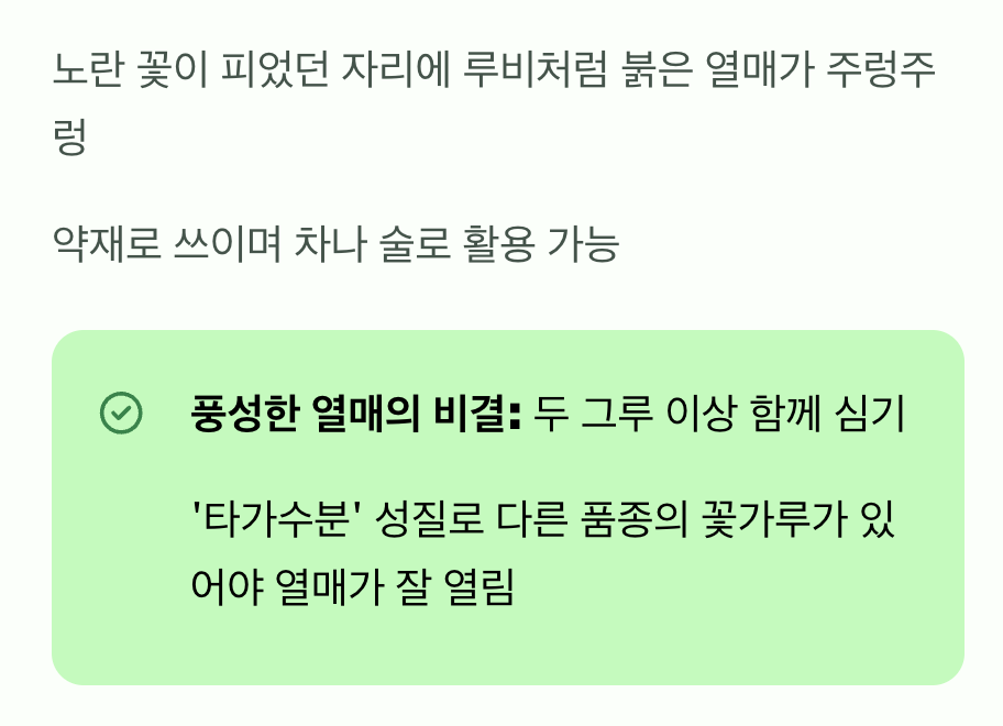5. 노란 꽃이 진 자리, 붉은 보석이 열리다
