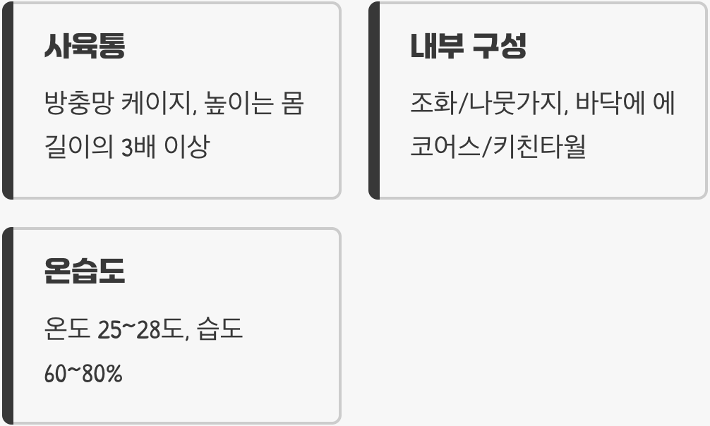 정글을 담은 집, 사육 환경 꾸미기