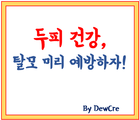 건강한 두피, 강한 모발: 탈모를 예방하는 일상 속 습관