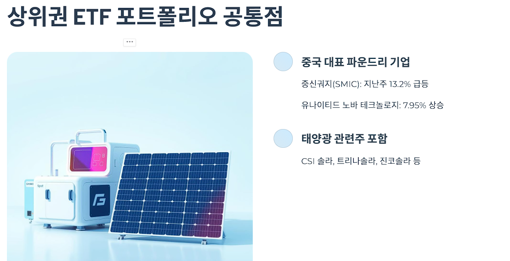 상위권 ETF 포트폴리오 공통점