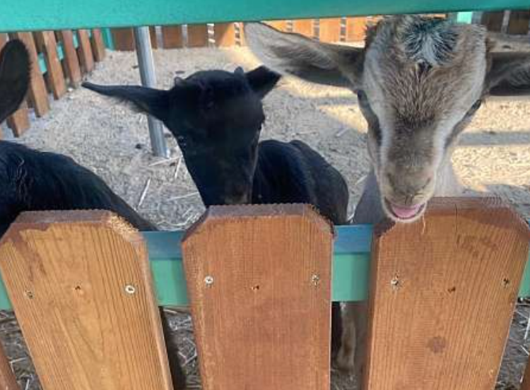 센트럴 곤충 생태농장