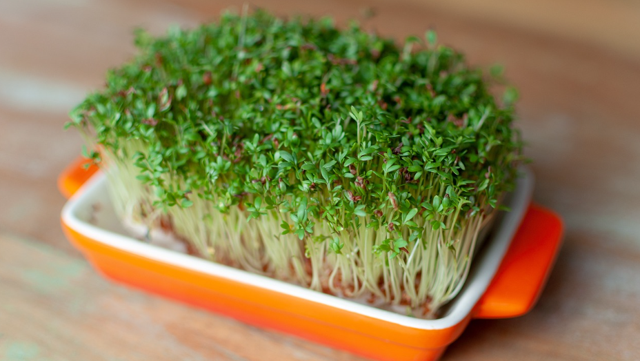 3월 제철음식 완결편 (수산물&#44;해산물&#44;채소&#44;과일)