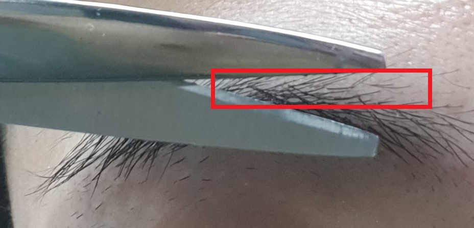 남자 아이브로우