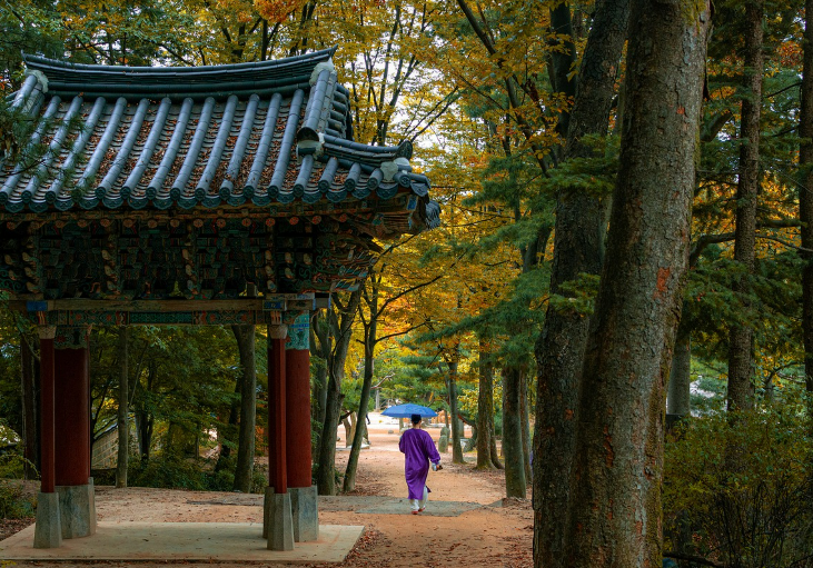 용인 한국 민속촌 풍경 사진