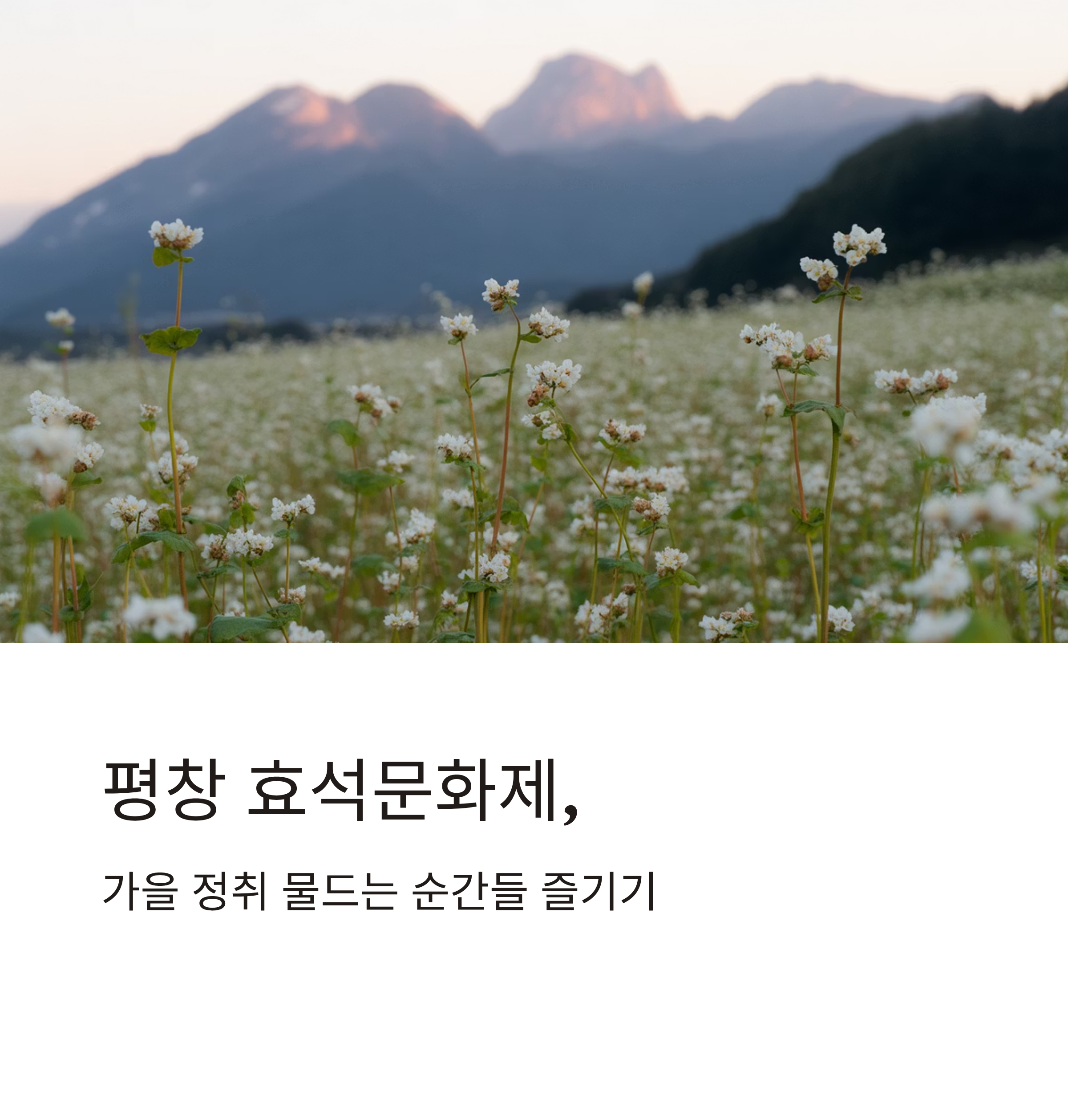 평창 효석문화제