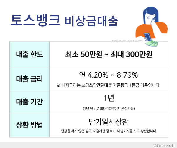 비상금대출