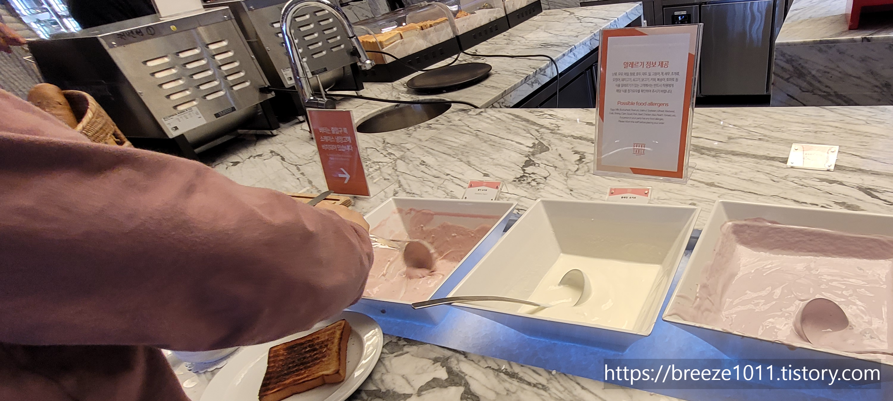 조식용 딸기요거트, 플레인 요거트, 블루베리 요거트