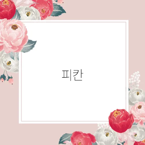 피칸