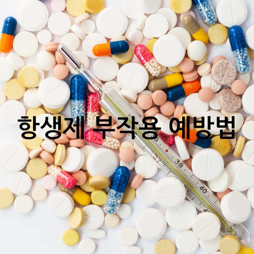 항생제 부작용