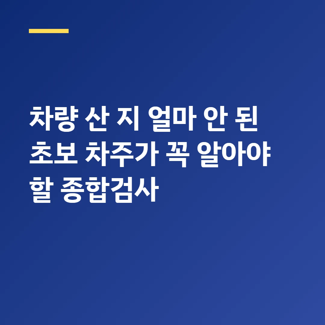 차량 산 지 얼마 안 된 초보 차주가 꼭 알아야 할 종합검사