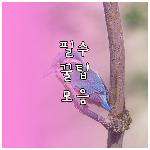 전자레인지 전자파 30cm 비밀 안전..