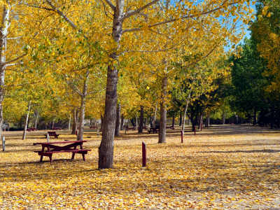 난지캠핑장 예약 위치 요금 총정리