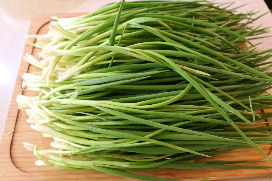 쪽파